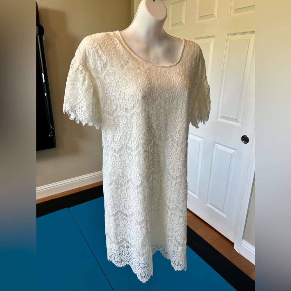 Delicate elegant white dress The Limited NWT